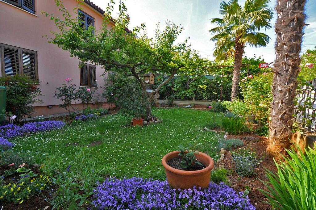 Casa Istriana Apartment Novigrad  Exterior photo